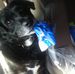 Wanda Coppedge - Facebook