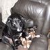 Wanda Coppedge - Facebook