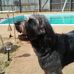 Wanda Foster Corcoran - Facebook
