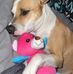 Wanda Councill - Facebook