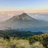 Wanda Coy - @wanda.coy7 - TikTok