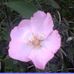 Wanda Crabb - Facebook