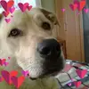 wendycraddock779 - @wendycraddock779 - TikTok