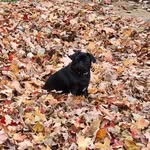 Wanda Craig Wheeler - @wandacraigwheeler - Instagram