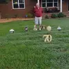 Wanda Myers Craig - @wanda.myers.craig - TikTok