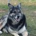 Wanda Cumpton - Facebook