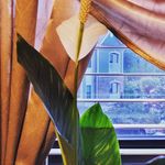 Wanda Curington - @wandacurington - Instagram