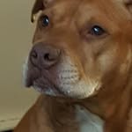 Wanda Dabney - @wangeranj - Instagram