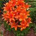 Wanda Daniels - Facebook