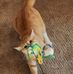 Wanda Danner - Facebook