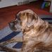 Wanda DeBoard - Facebook