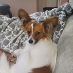 Wanda McCauley Decker - @wanda.m.decker - Instagram