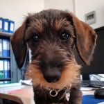 Wanda - @wandadellakafara - Instagram