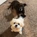 Wanda Roberts Dickey - Facebook