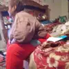wandadiggs82 - @wandadiggs82 - TikTok
