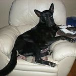 Wanda Andrus Dodd - @wanda.a.dodd - Instagram