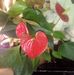 Wanda Dowdy - Facebook