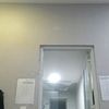 wandadoyle2005 - @hama_hama0003 - TikTok