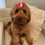 Wanda Echavarria - @wechme - Instagram