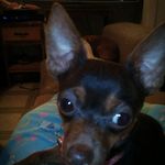 wanda elam - @wandaelam48 - Instagram