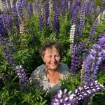 Wanda Elliott - @wandaelliottstudio - Instagram