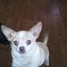 Wanda Emerson - Facebook