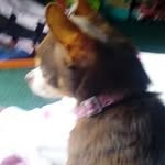 Wanda Emory - @wandaemory45 - Instagram