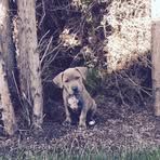 Wanda Enders - Facebook