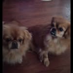 Wanda English - @wandaenglsh - Instagram
