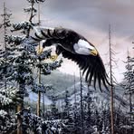 Wanda Erickson - Facebook