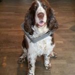 Ernst Wandaller - @ernst.wandaller - Instagram