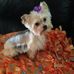 Wanda Estep - Facebook