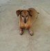 Wanda Eubanks - Facebook