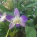 Wanda Eubanks - Facebook
