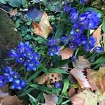 Wanda Fair - @kittieb23 - Instagram