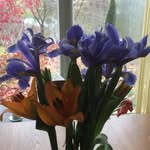 Wanda Fair - @wanda_fair - Instagram