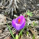 Wanda Farley - @wandahockfar - Instagram