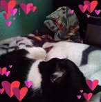 Wanda Farris - Facebook