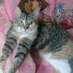 Wanda Featherstone Stotyn - @wandafeatherstone - Instagram