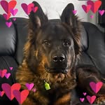 Wanda Featherstone Wright - @wandabaker5390 - Instagram