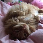 Wanda Fenwick - @wanda_granny - Instagram