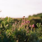 Wanda Ferrell - @wandaferrell277684 - Instagram