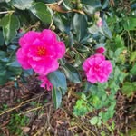 Wanda Fields - @wandanjc1 - Instagram