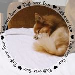 Wanda Fields - @wanda.fields.3150 - Instagram