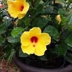 Wanda Fleming - @wandafleming555 - Instagram