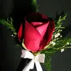 WANDA flower shop - @wanda.flower.shop - TikTok