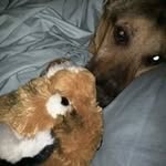 Wanda Flowers - @flowers.wanda - Instagram