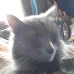 Wanda Fogle Mercer - @mercer7658 - Instagram