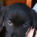 Wanda Folkes - Facebook