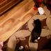 Wanda Foulks - Facebook